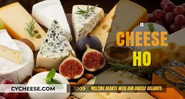 Is Cheese Healthy or Harmful? Unraveling the Dairy Debate
