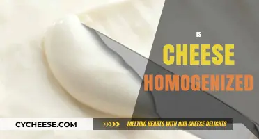 Is Cheese Homogenized? Understanding the Process and Its Impact