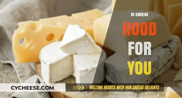 Is Cheese Healthy? Uncovering the Truth About Cheese and Your Health