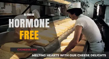 Cheese and Hormones: What's the Connection?