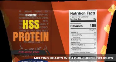 Does Cheese Have Protein? Uncovering the Nutritional Facts