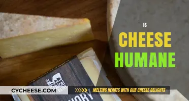 Is Cheese Humane? Exploring the Ethics of Dairy Production