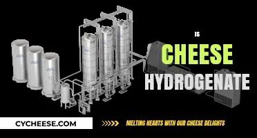 Is Cheese Hydrogenated? Uncovering the Truth About Cheese Processing