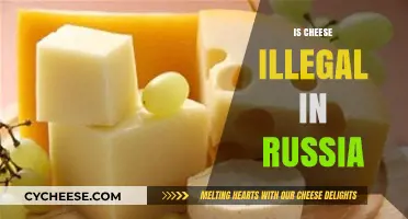 Is Cheese Illegal in Russia? Unraveling the Dairy Dilemma
