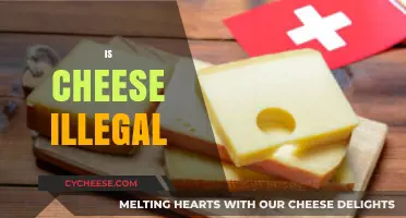 Is Cheese Illegal? Unraveling the Truth Behind This Dairy Dilemma