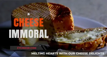 Is Cheese Immoral? Exploring Ethics, Environment, and Animal Welfare