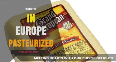 Is European Cheese Pasteurized? Exploring Dairy Regulations and Traditions