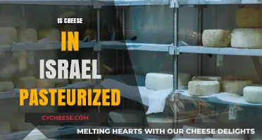 Is Cheese in Israel Pasteurized? Exploring Dairy Practices and Regulations