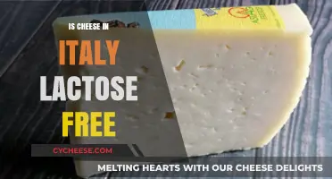 Cheese in Italy: Lactose-Free Delights