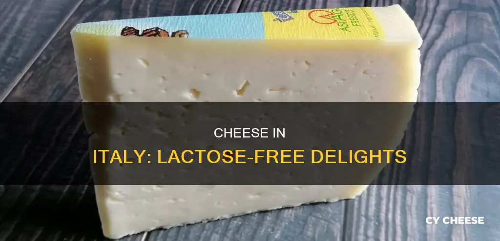 is cheese in italy lactose free
