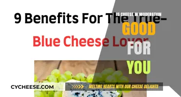 Cheese in Moderation: Healthy or Unhealthy?