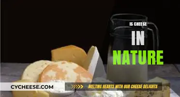 Is Cheese Natural? Exploring Its Origins and Production Process