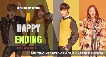 Cheese in the Trap: Analyzing the Ambiguity of Its Ending