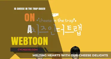 Is Cheese in the Trap a Webtoon Adaptation? Exploring the Origins