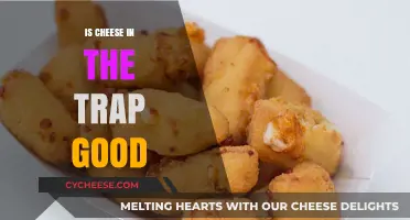 Cheese in the Trap: Worth Your Time?