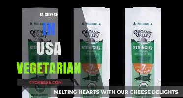 Is Cheese in the USA Vegetarian? Unraveling the Rennet Mystery