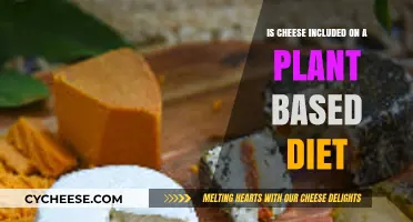 Can Cheese Fit into a Plant-Based Diet? Exploring the Facts