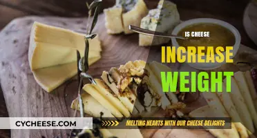 Does Cheese Cause Weight Gain? Unraveling the Dairy Dilemma