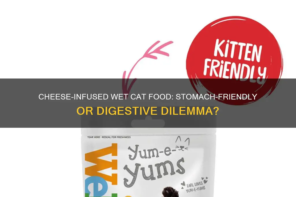is cheese infused wet cat food hard on cat