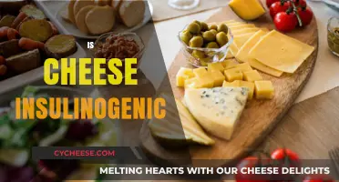 Is Cheese Insulinogenic? Unraveling the Impact of Dairy on Blood Sugar