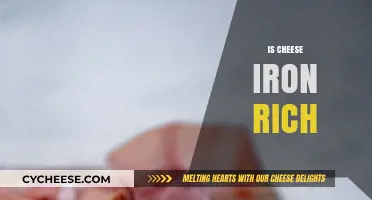 Is Cheese a Good Iron Source? Uncovering the Truth About Dairy