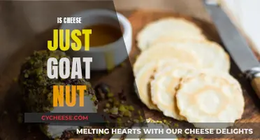 Unraveling the Mystery: Is Cheese Just Goat's Nut?