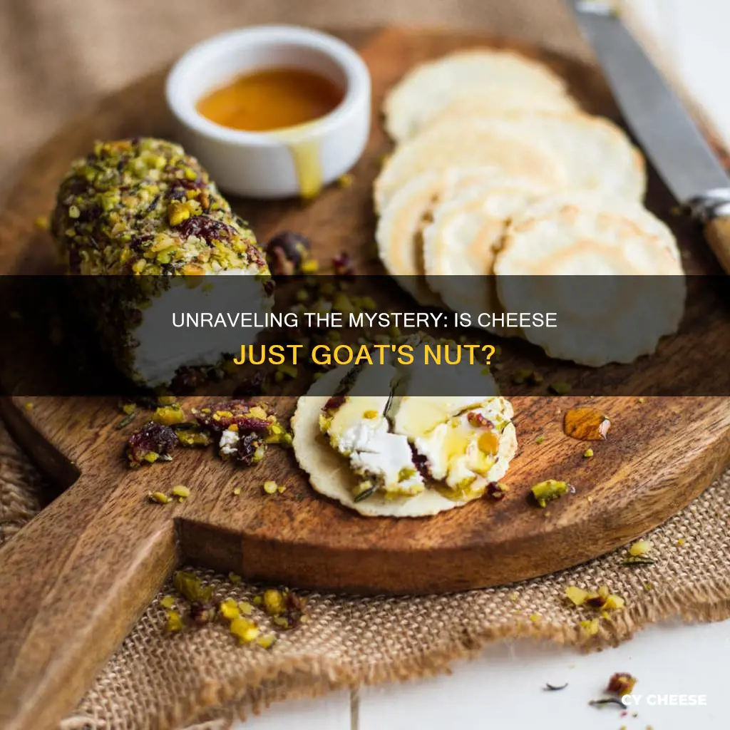 is cheese just goat nut