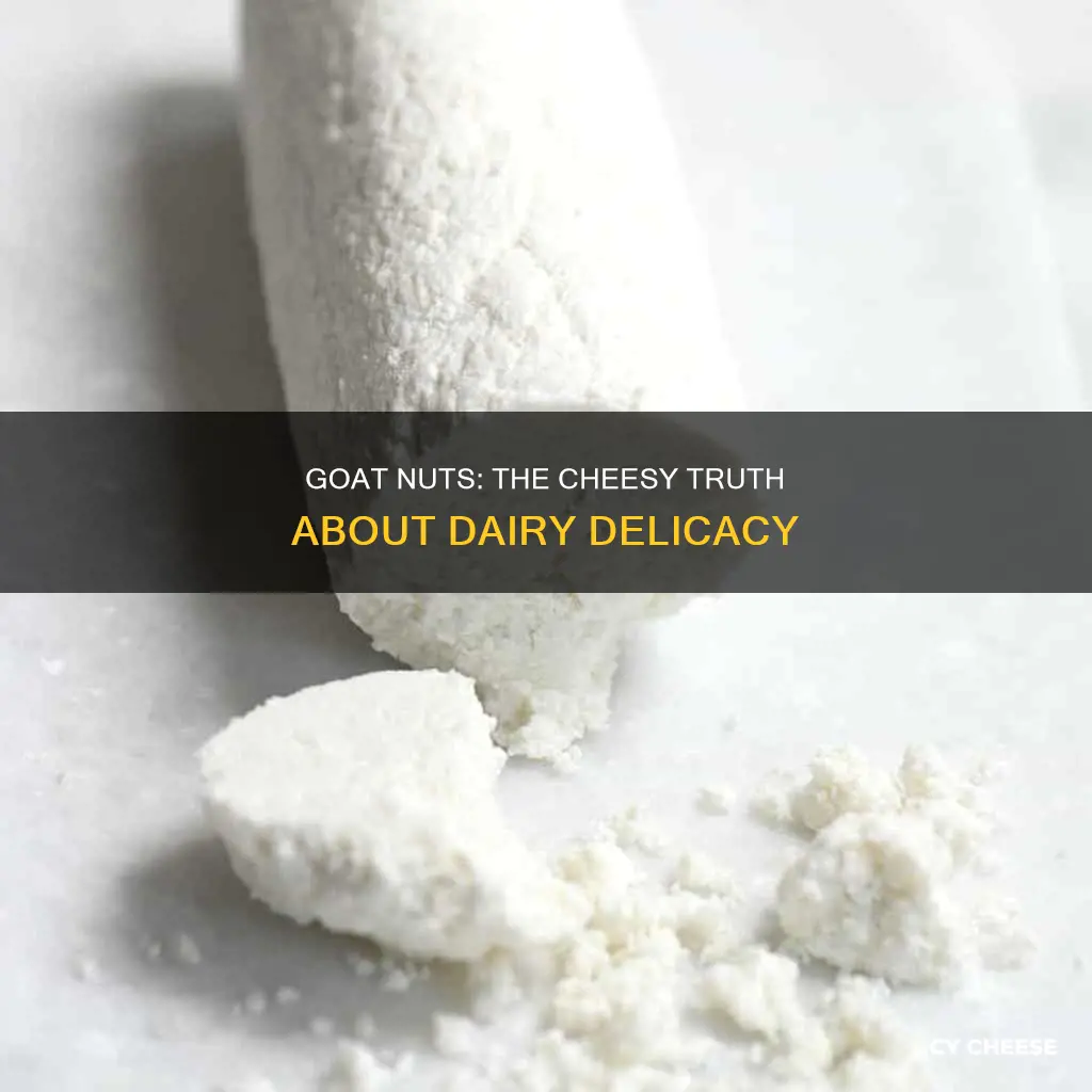 is cheese just goat nut