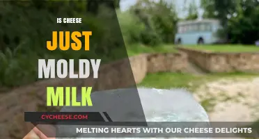 Is Cheese Just Moldy Milk? Unraveling the Dairy Mystery