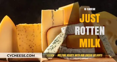 Is Cheese Just Rotten Milk? Unraveling the Dairy Transformation Mystery