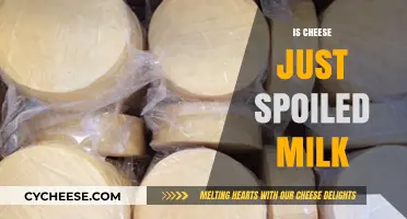 Is Cheese Spoiled Milk? Unraveling the Dairy Transformation Mystery