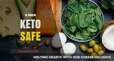 Is Cheese Keto-Friendly? A Guide to Cheese on the Keto Diet
