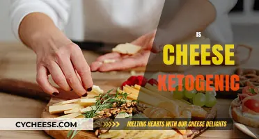 Is Cheese Ketogenic? A Comprehensive Guide to Cheese on Keto