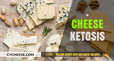 Is Cheese Keto-Friendly? Unraveling the Truth About Ketosis and Dairy
