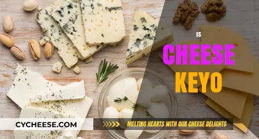 Is Cheese Keto-Friendly? Unlocking the Truth for Low-Carb Diets