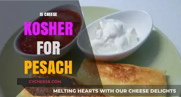 Is Cheese Kosher for Pesach? Understanding Passover Dietary Laws