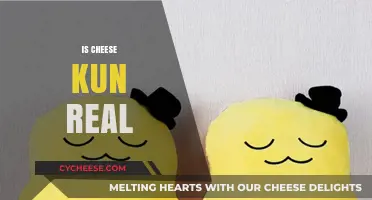 Is Cheese Kun Real? Unraveling the Mystery Behind the Legend