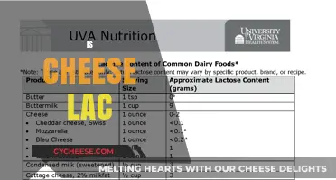 Is Cheese Lactose-Free? Unraveling the Dairy Dilemma for Sensitive Stomachs