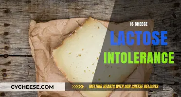 Can Lactose-Intolerant People Eat Cheese? Unraveling the Dairy Dilemma