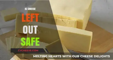 Is Cheese Left Out Safe? Understanding Risks and Best Practices