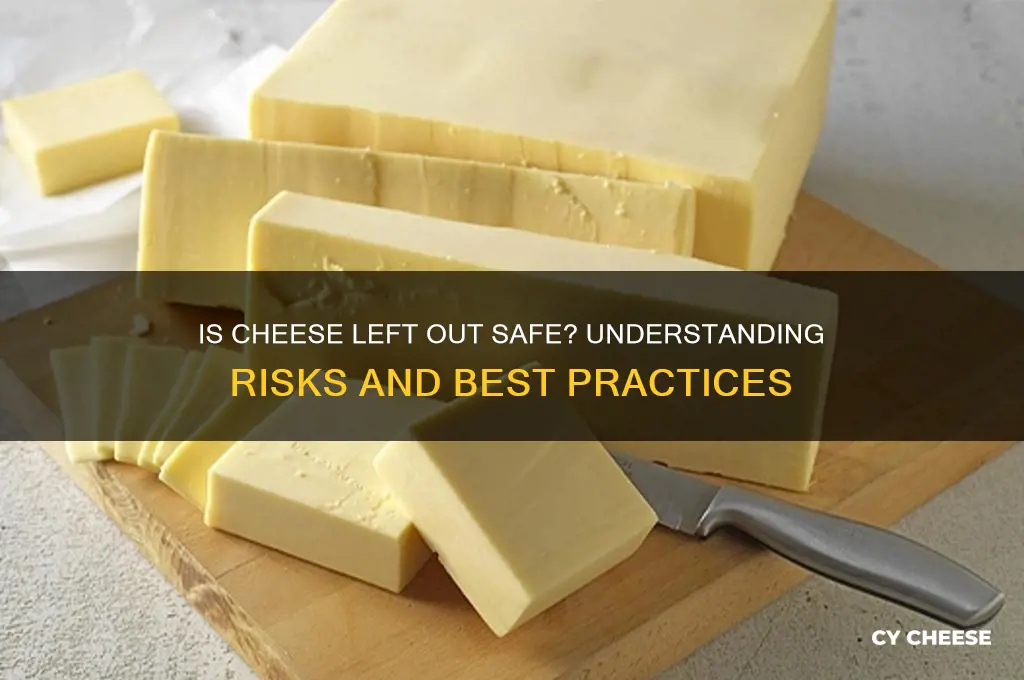 is cheese left out safe