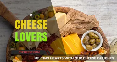 Cheese Lovers Unite: Exploring the Irresistible Charm of Cheese