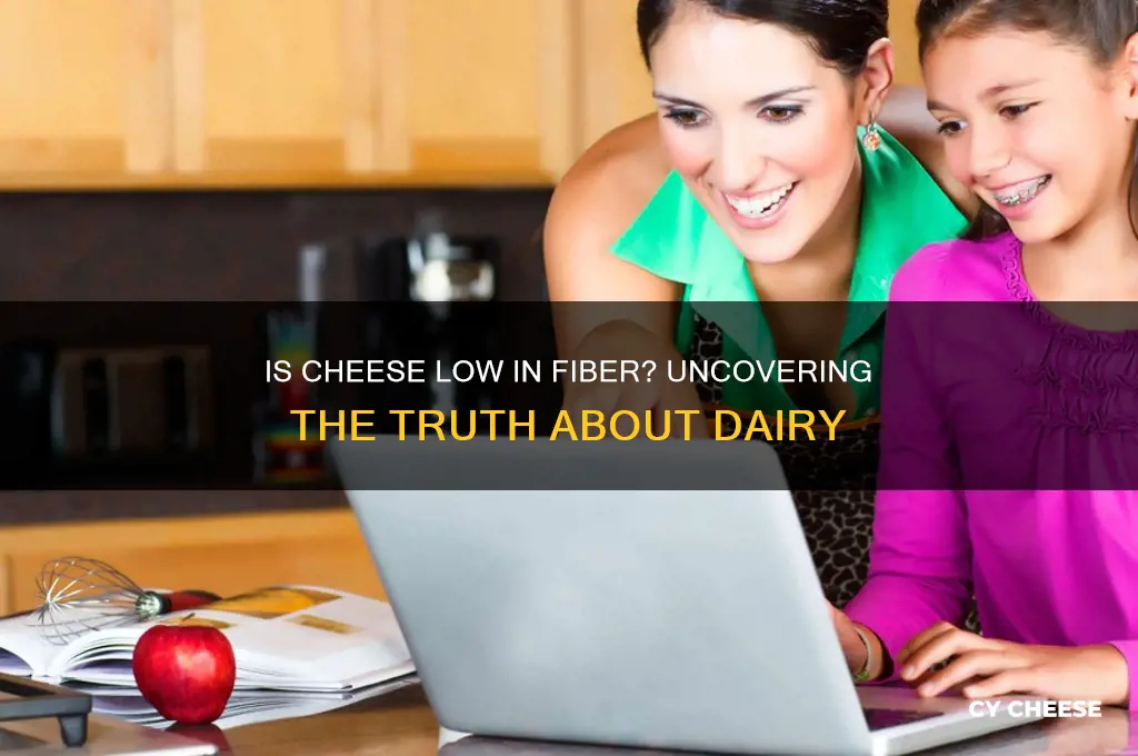 is cheese low fiber