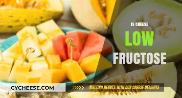Is Cheese Low Fructose? Uncovering the Truth About Cheese and Fructose
