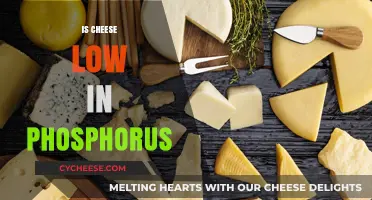 Is Cheese Low in Phosphorus? Uncovering the Truth for Your Diet