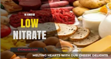 Is Cheese Low in Nitrates? Uncovering the Truth About Cheese