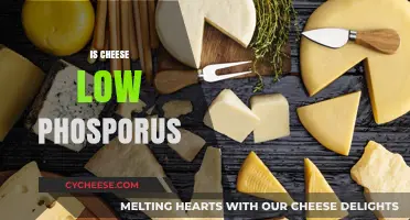 Is Cheese Low in Phosphorus? Uncovering the Truth for Kidney Health