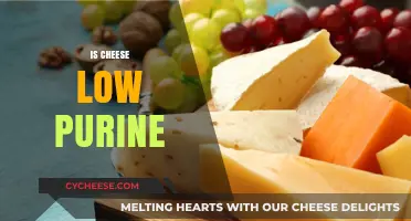 Is Cheese Low Purine? Uncovering the Truth for Gout Diets