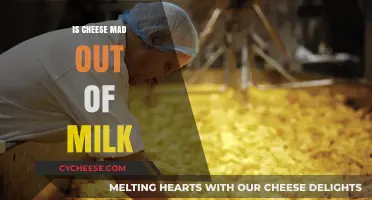 The Science of Cheese: Milk's Magical Transformation