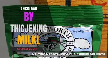 Thickening Milk: The Art of Cheese Making